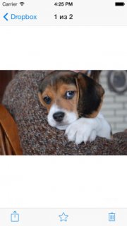 Dropbox     iOS 7.0   AirDrop