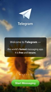 Telegram -    iPhone  iPad