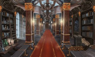 Game Insight    Running Shadow