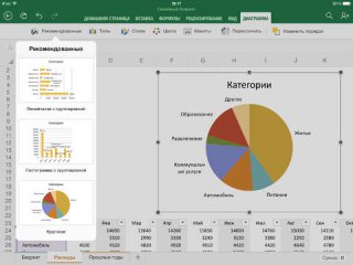   Microsoft Office   iPad