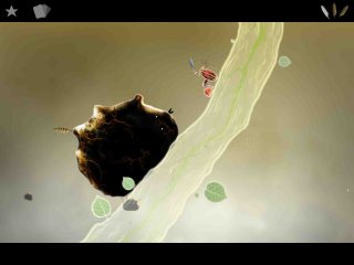 Botanicula   point-and-click 